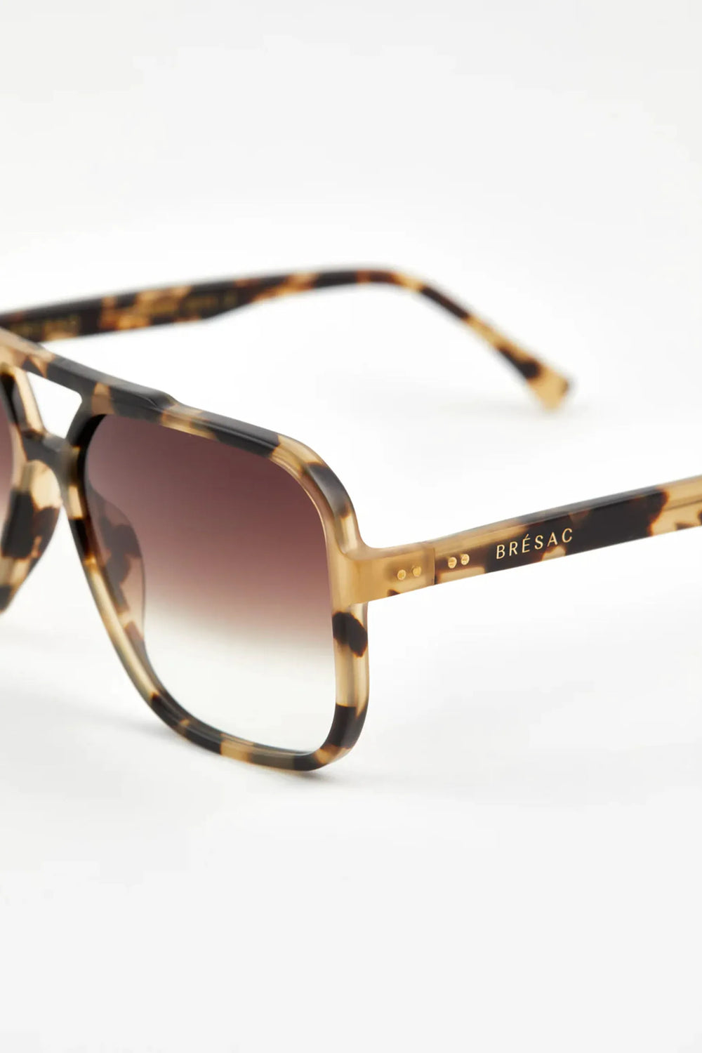 Tortoise